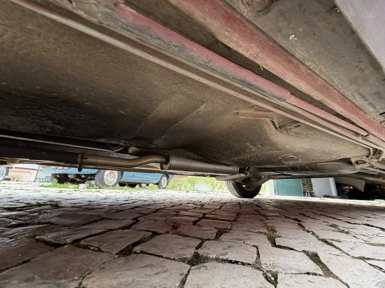 IMG_3529 – grande.jpeg