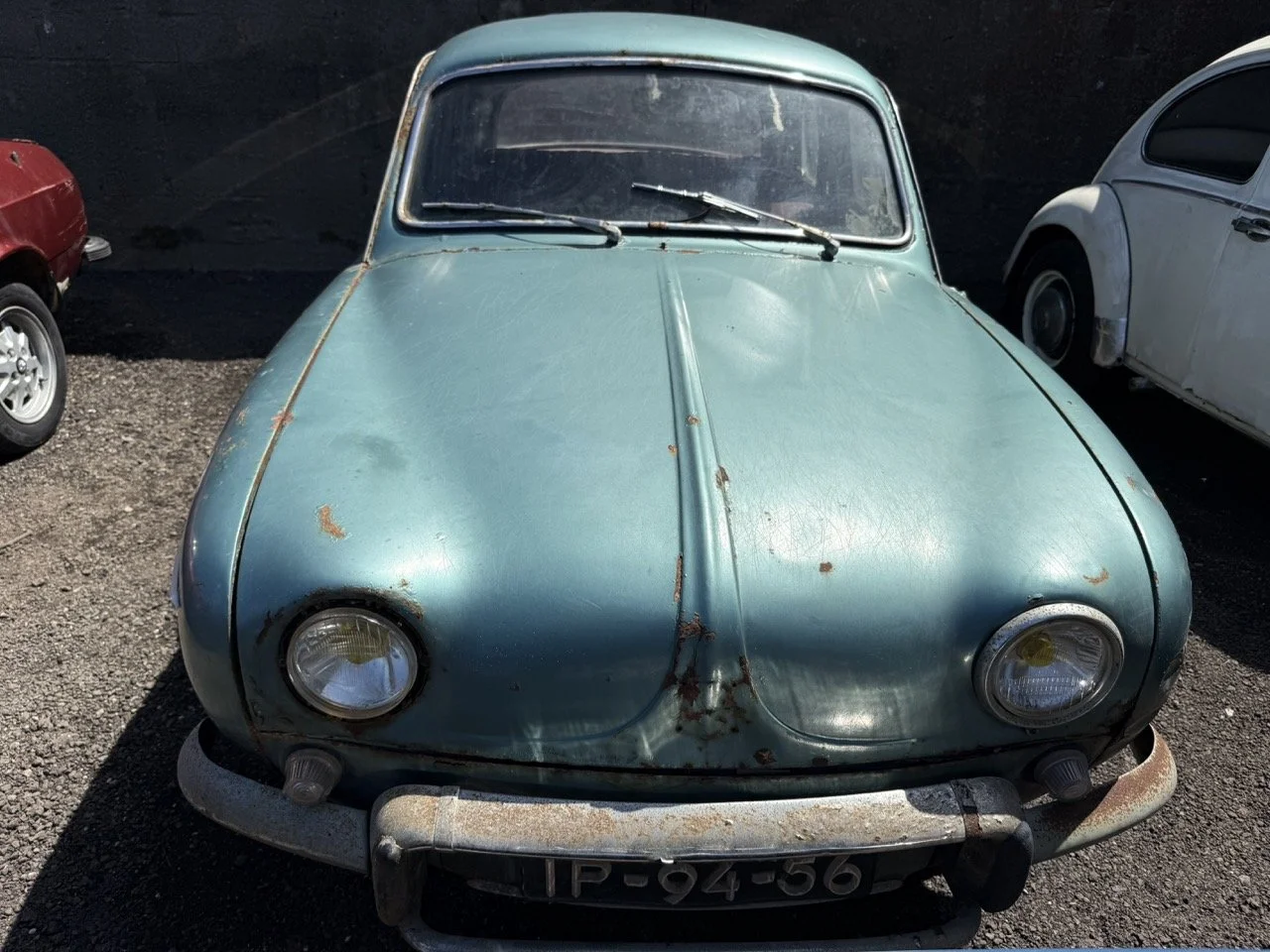 IMG_0819 – grande.jpeg