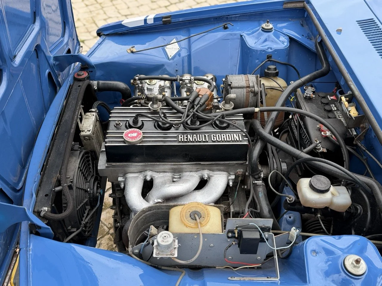 IMG_6007 – grande.jpeg