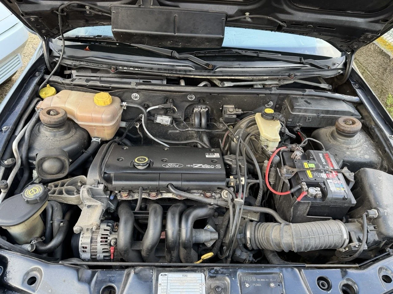 IMG_5311 – grande.jpeg