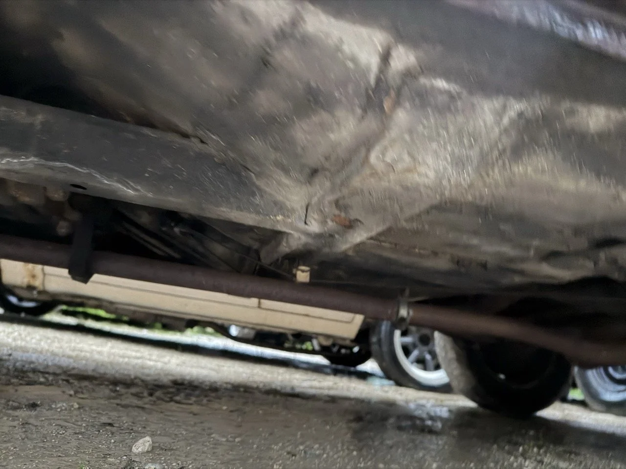 IMG_0288 – grande.jpeg