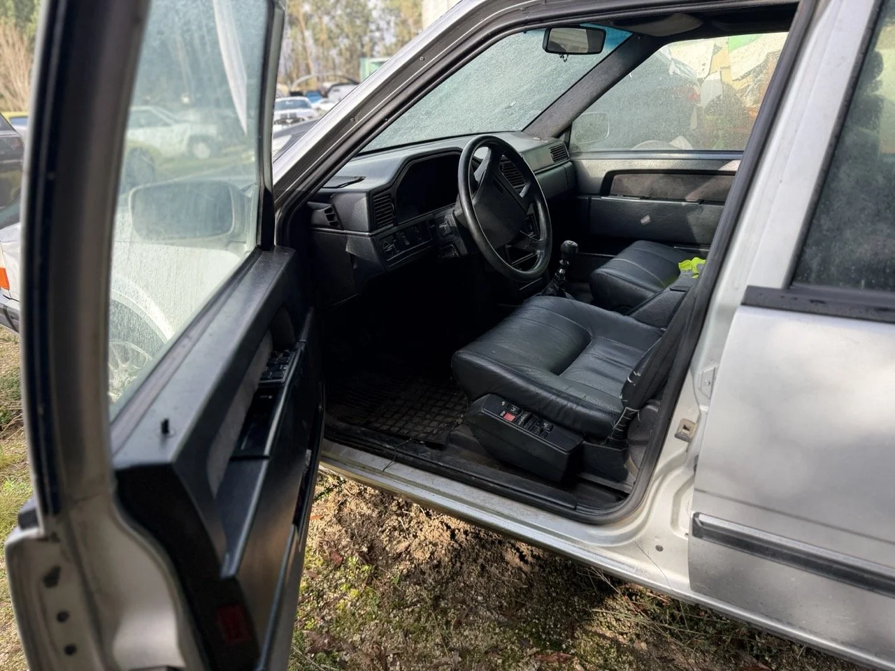 IMG_5743 – grande.jpeg