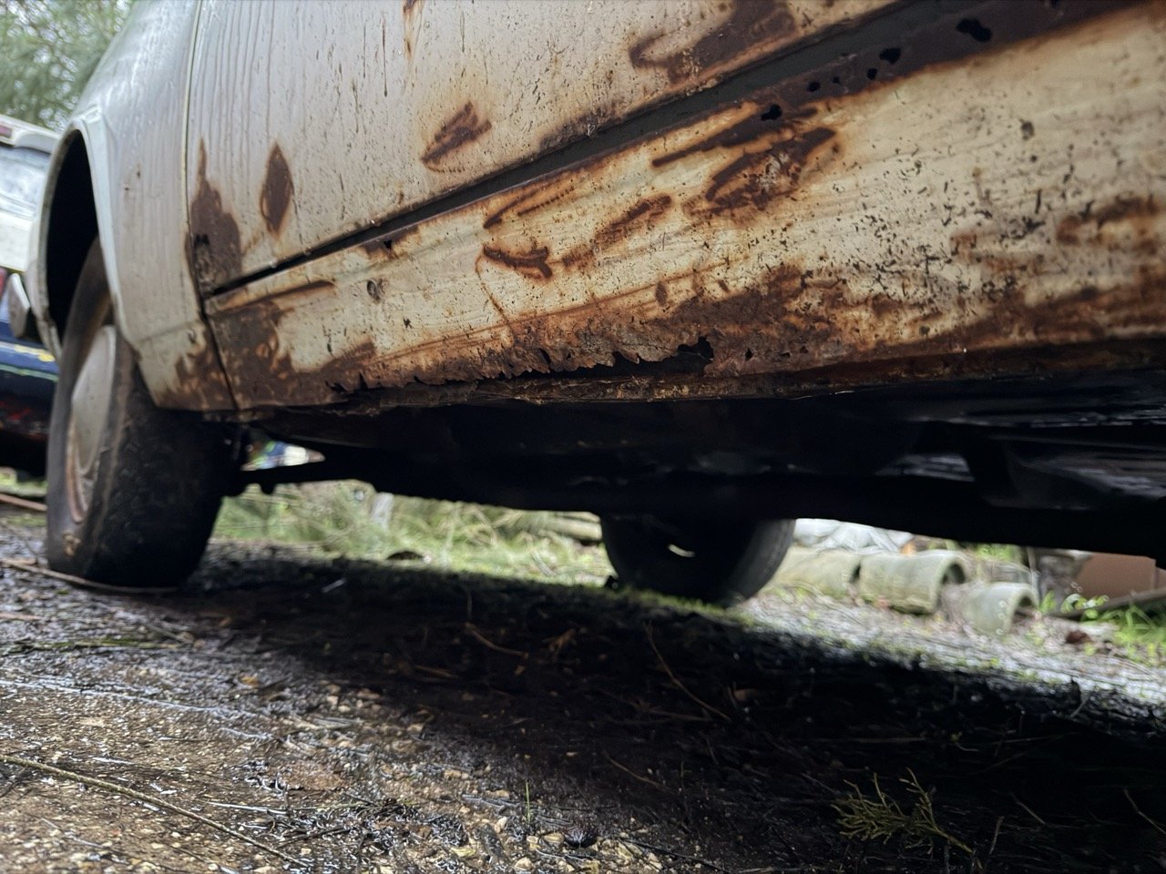 IMG_0187 – grande.jpeg