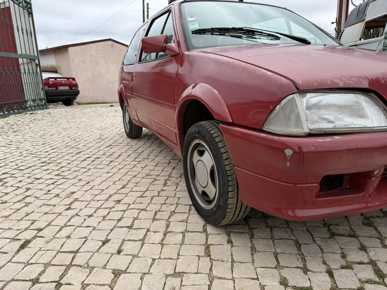 IMG_3636 – grande.jpeg