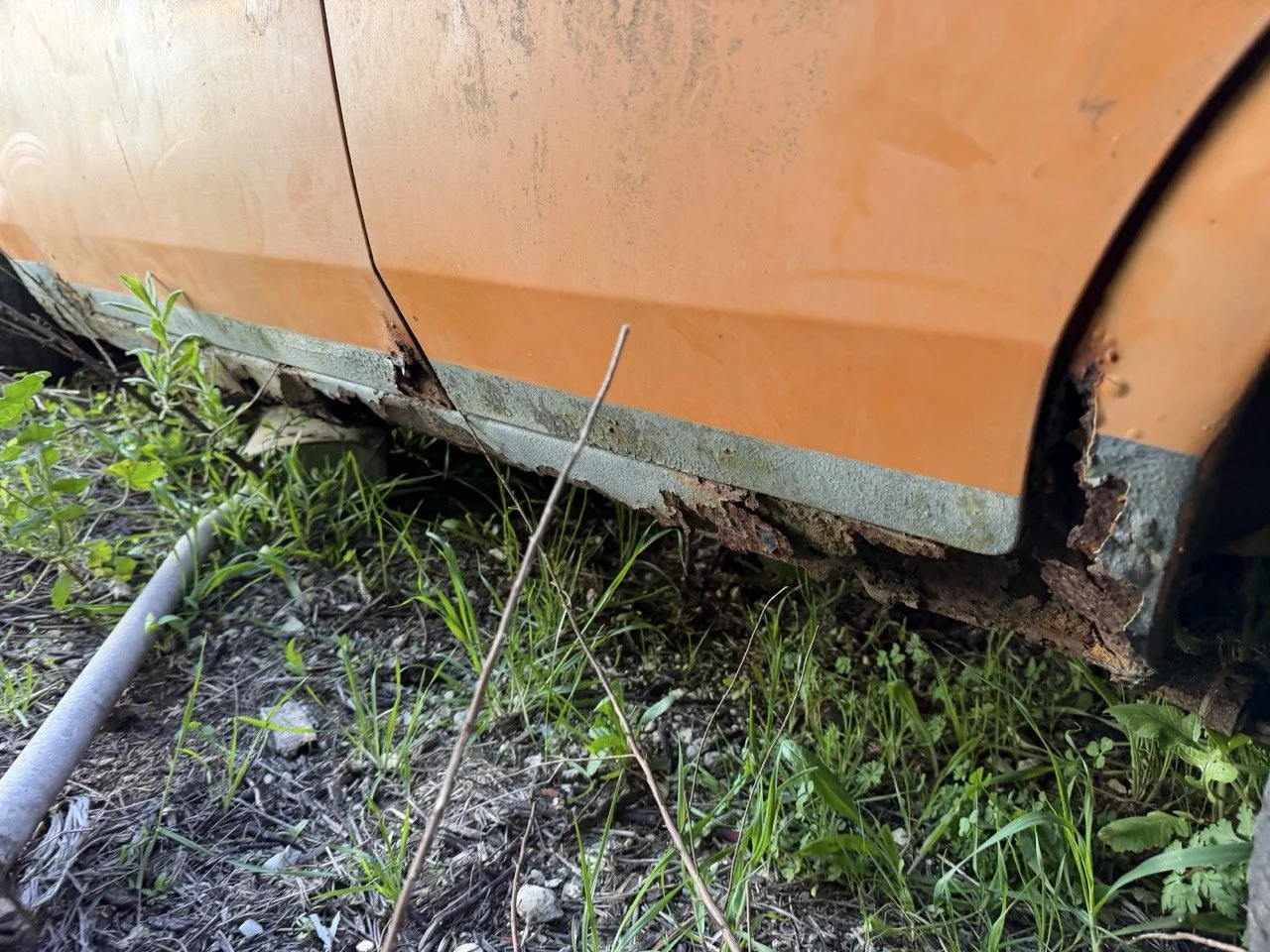 IMG_7701 – grande.jpeg