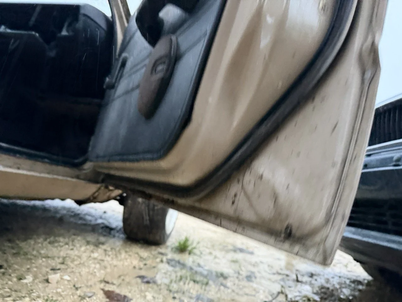 IMG_0228 – grande.jpeg