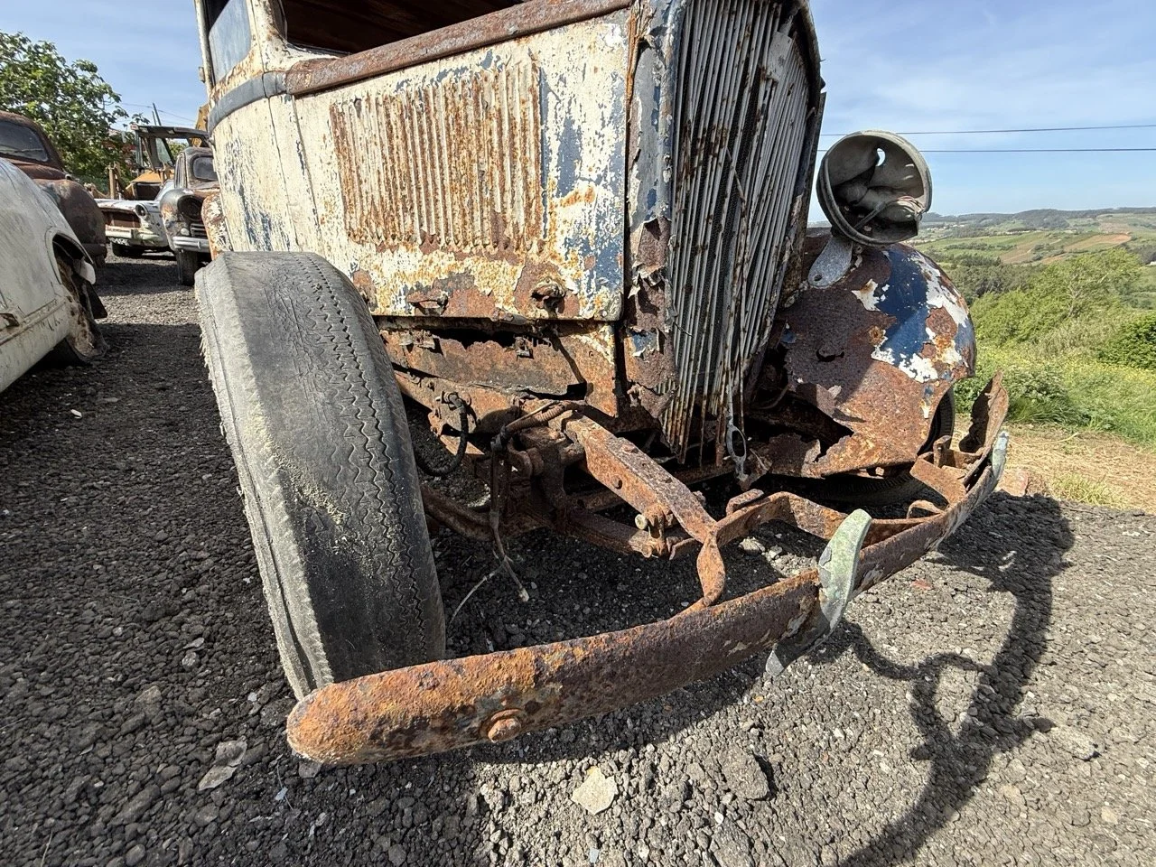 IMG_0375 – grande.jpeg