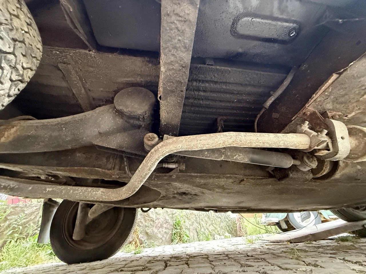 IMG_3812 – grande.jpeg