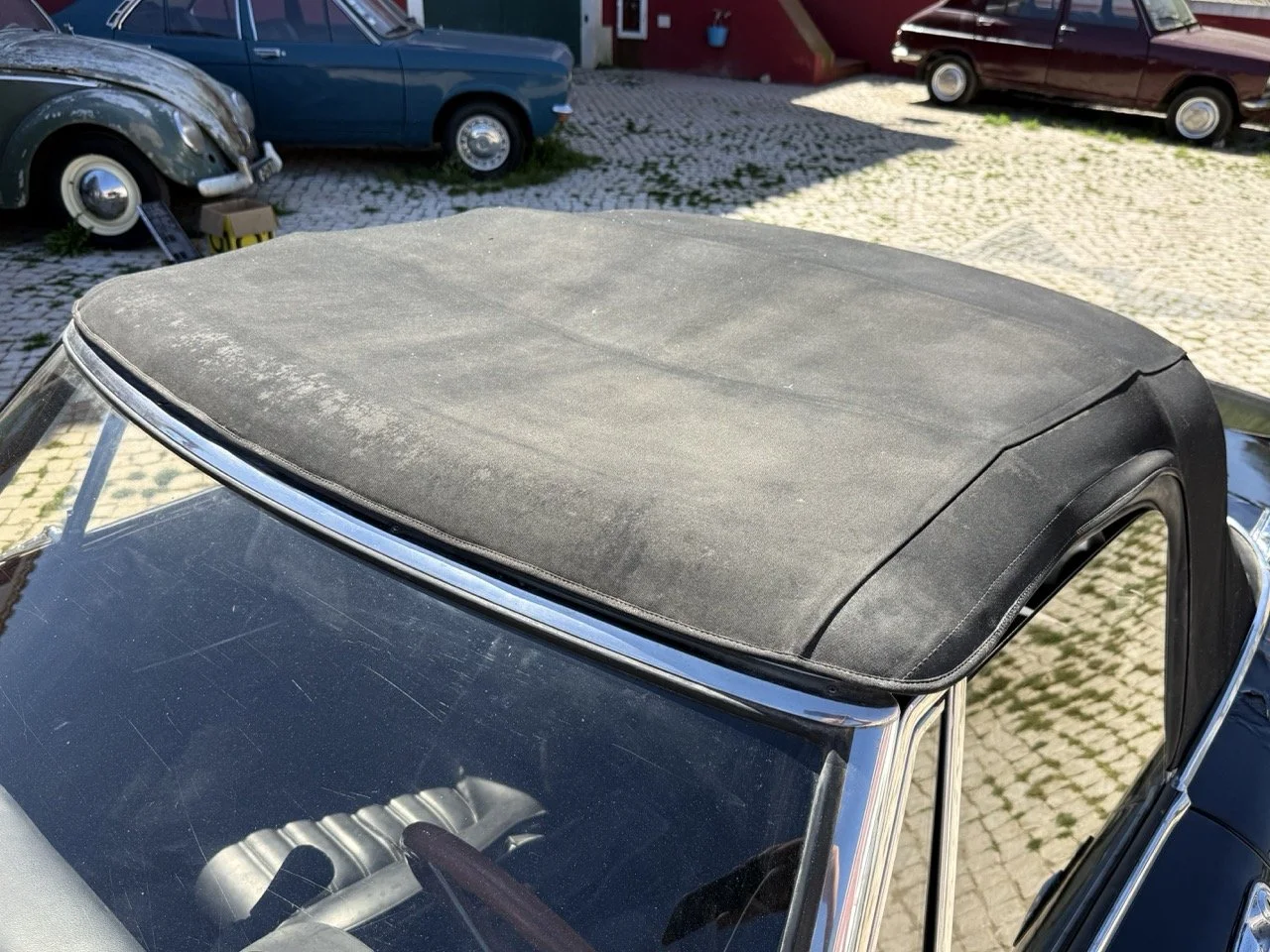 IMG_2204 – grande.jpeg