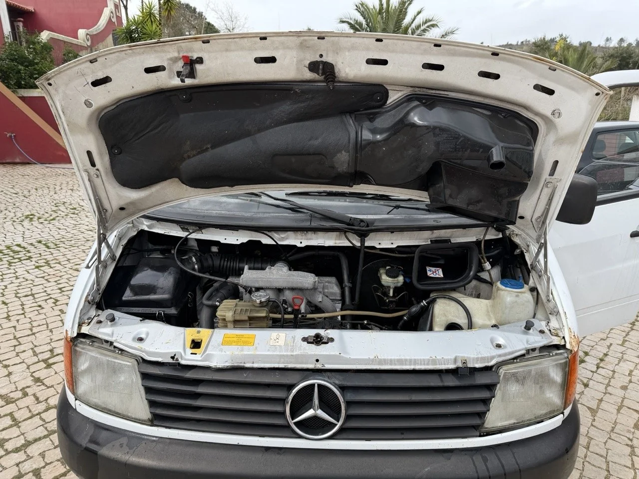 IMG_9555 – grande.jpeg