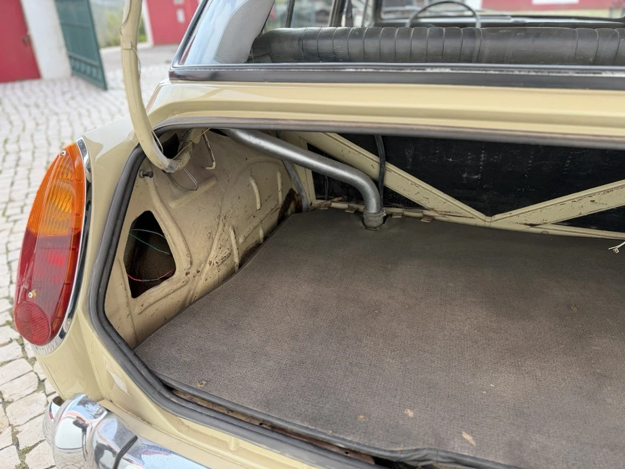 IMG_4056 – grande.jpeg