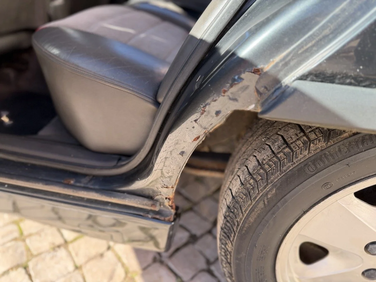 IMG_2725 – grande.jpeg