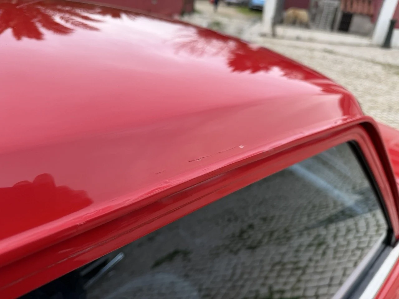 IMG_8287 – grande.jpeg