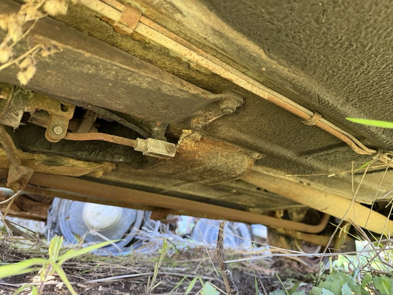 IMG_2538 – grande.jpeg