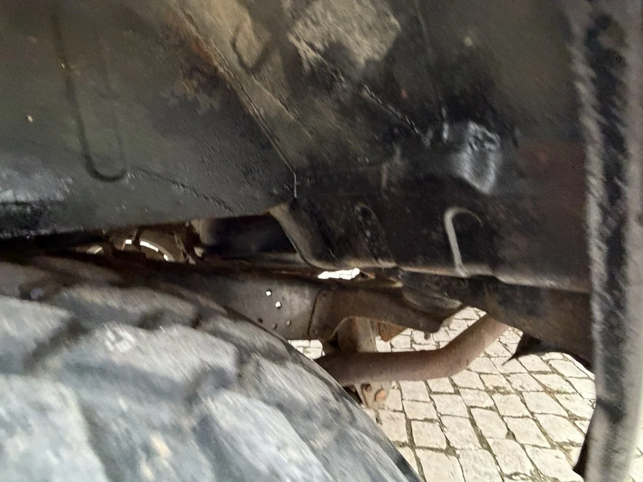 IMG_6526 – grande.jpeg