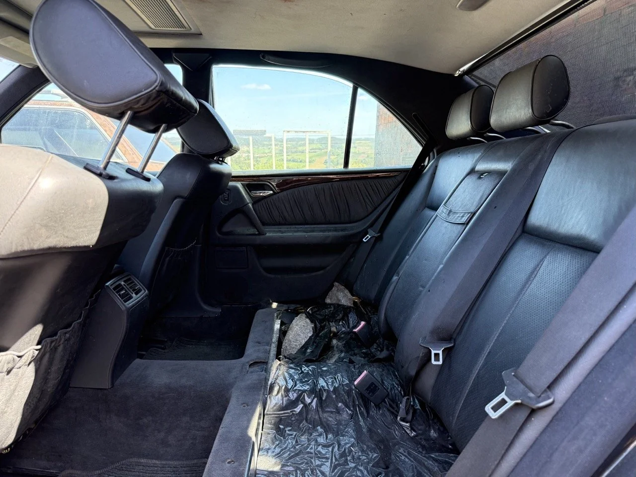 IMG_1735 – grande.jpeg