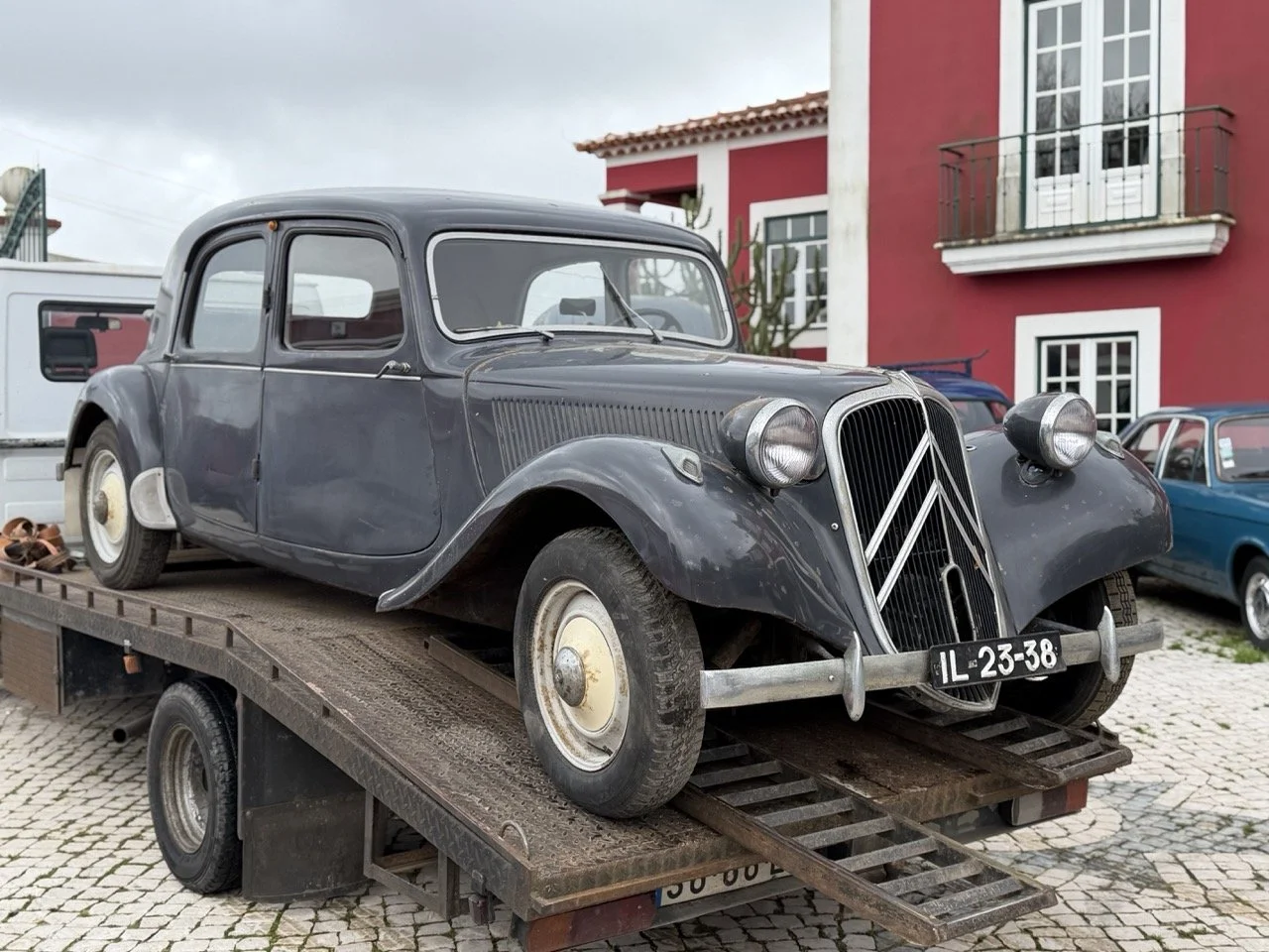 IMG_1826 – grande.jpeg