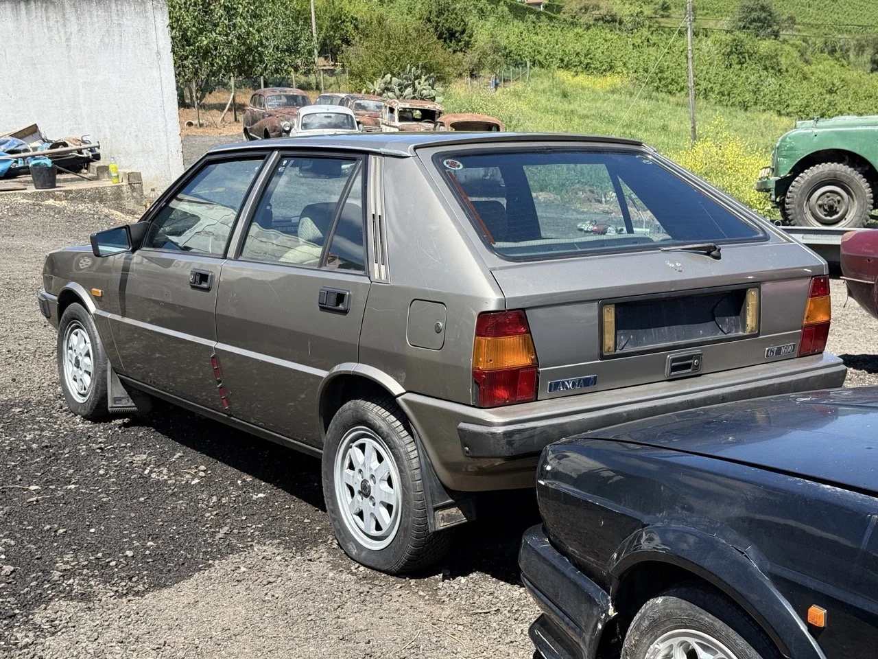 IMG_1874 – grande.jpeg