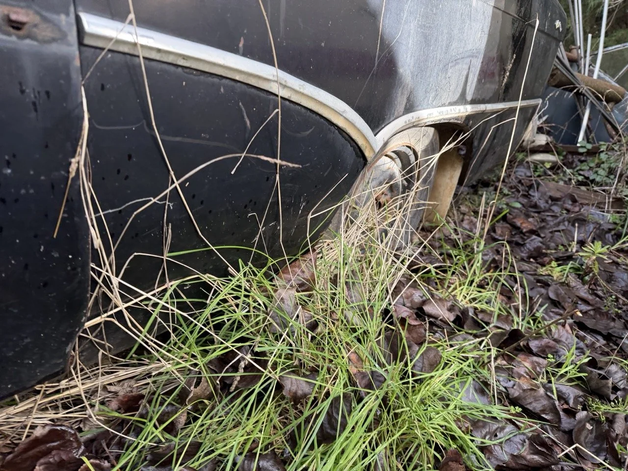 IMG_5070 – grande.jpeg