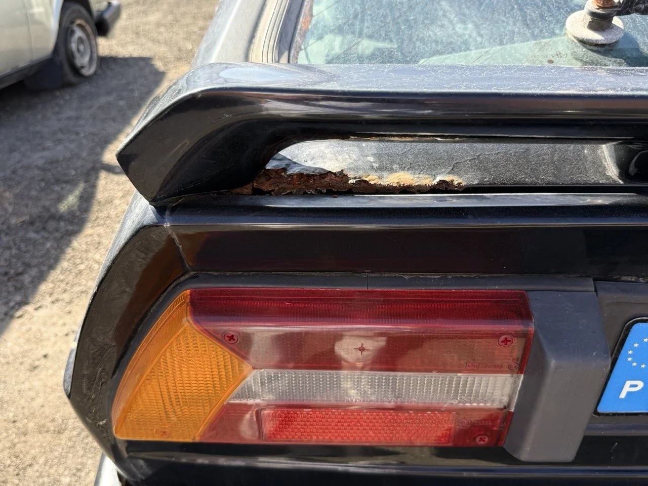 IMG_2926 – grande.jpeg