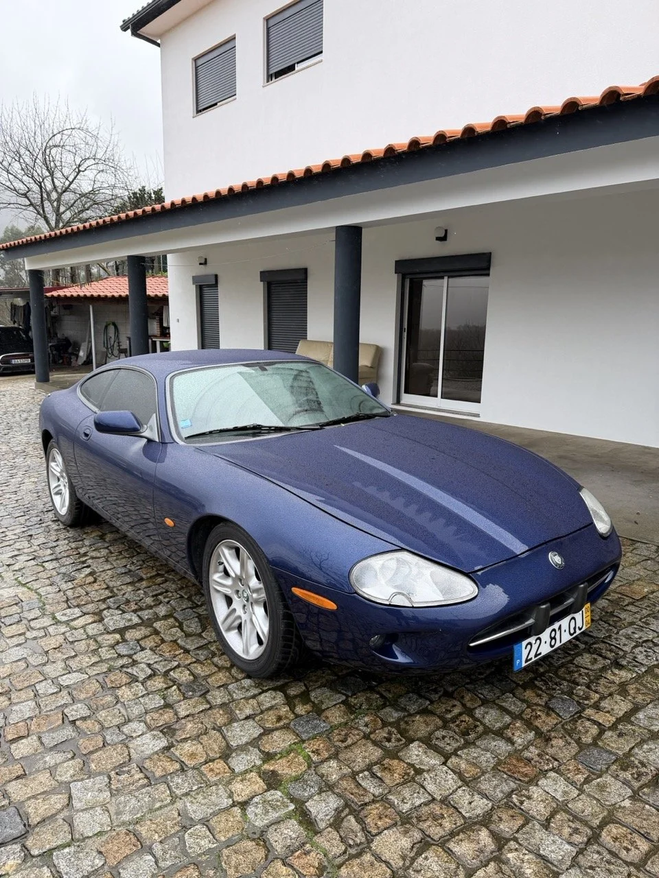 IMG_3629 – grande.jpeg