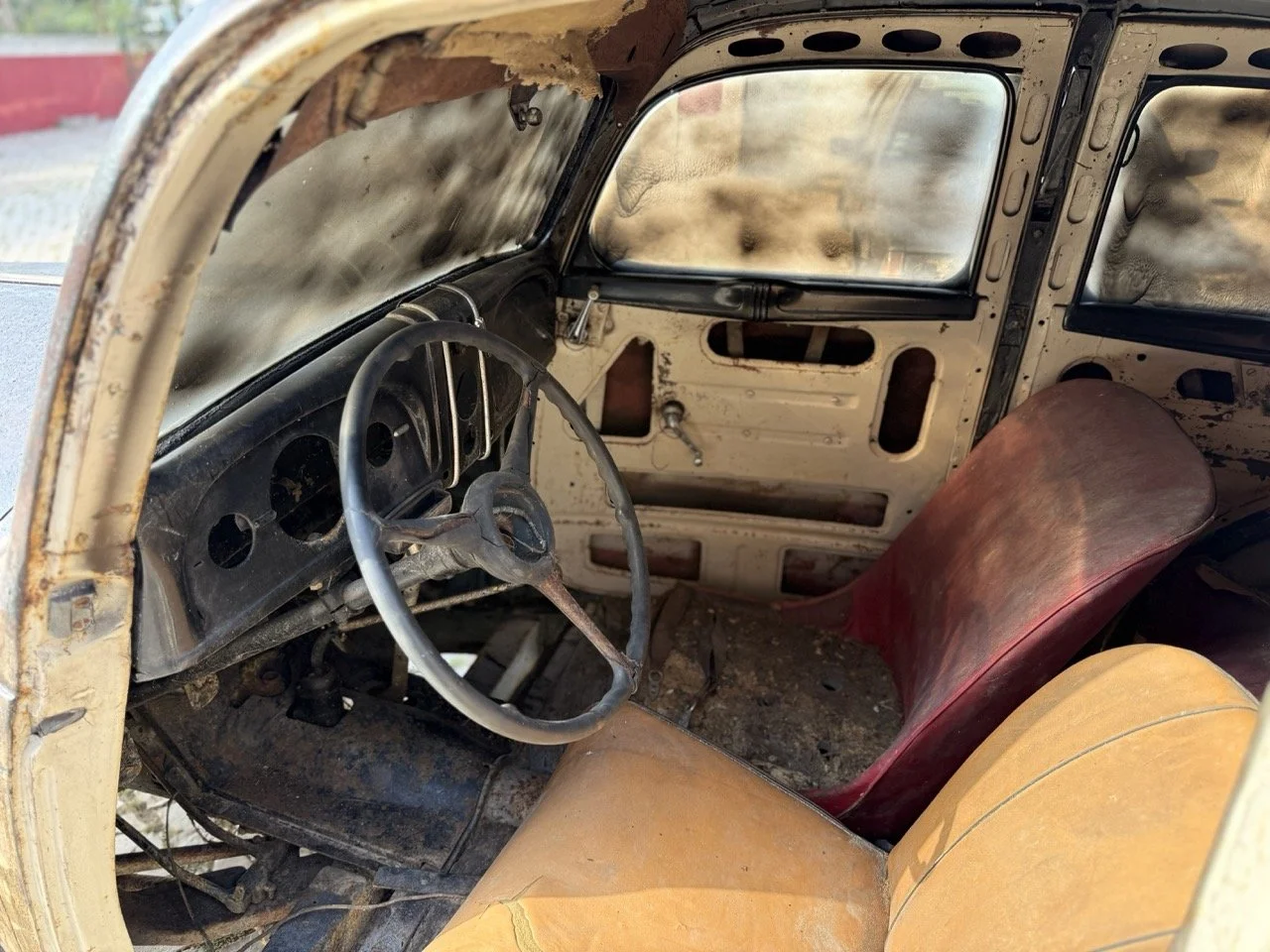 IMG_3685 – grande.jpeg