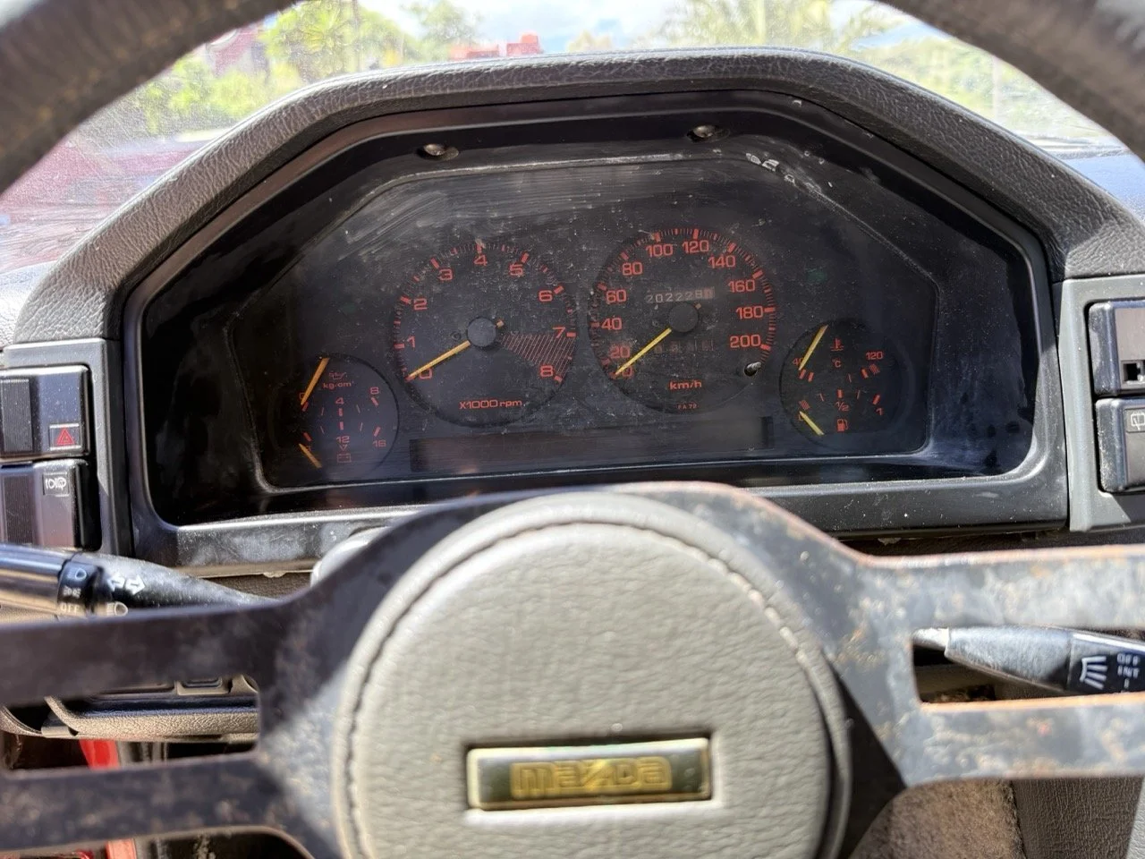 IMG_2033 – grande.jpeg