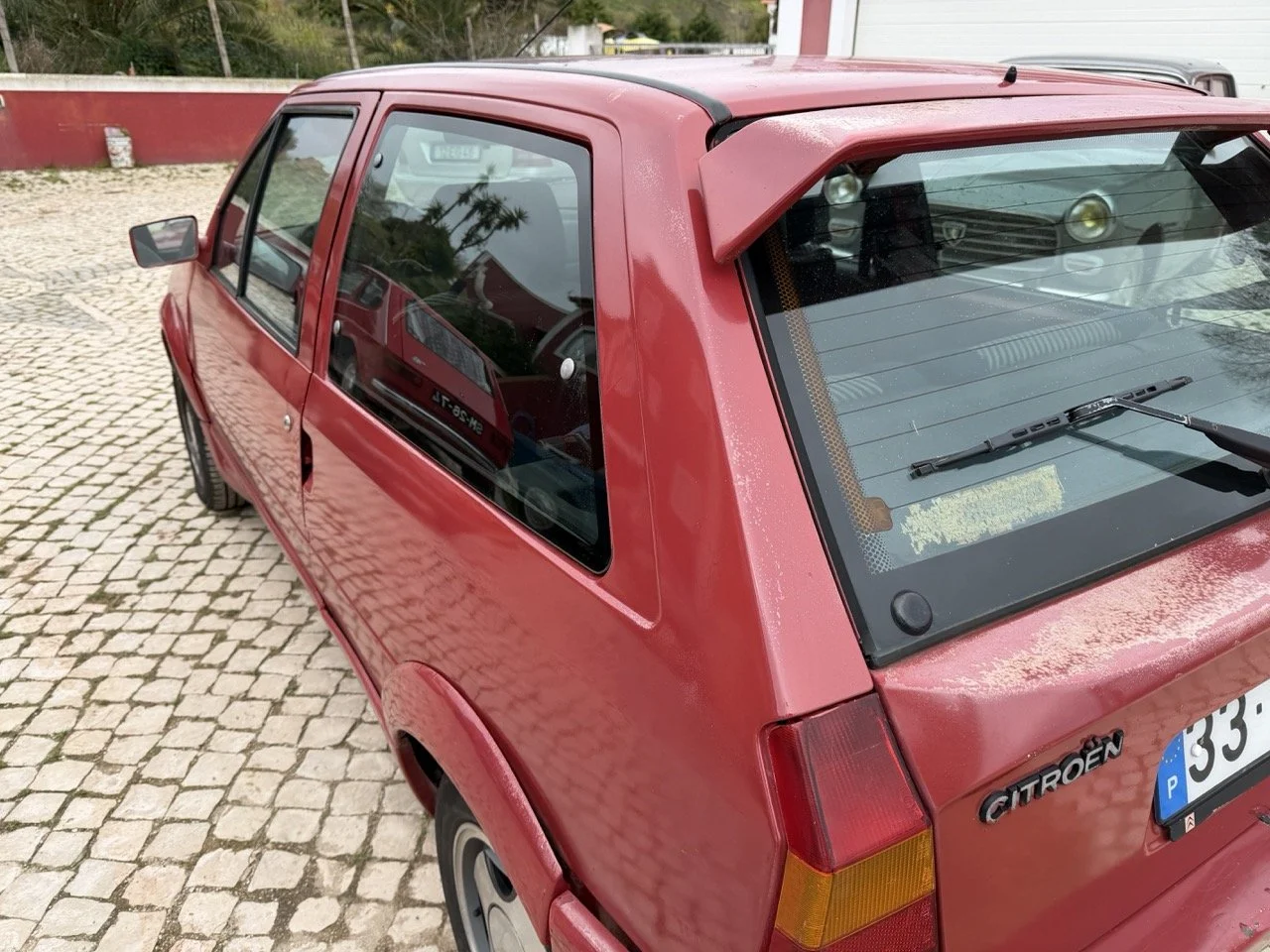 IMG_3621 – grande.jpeg