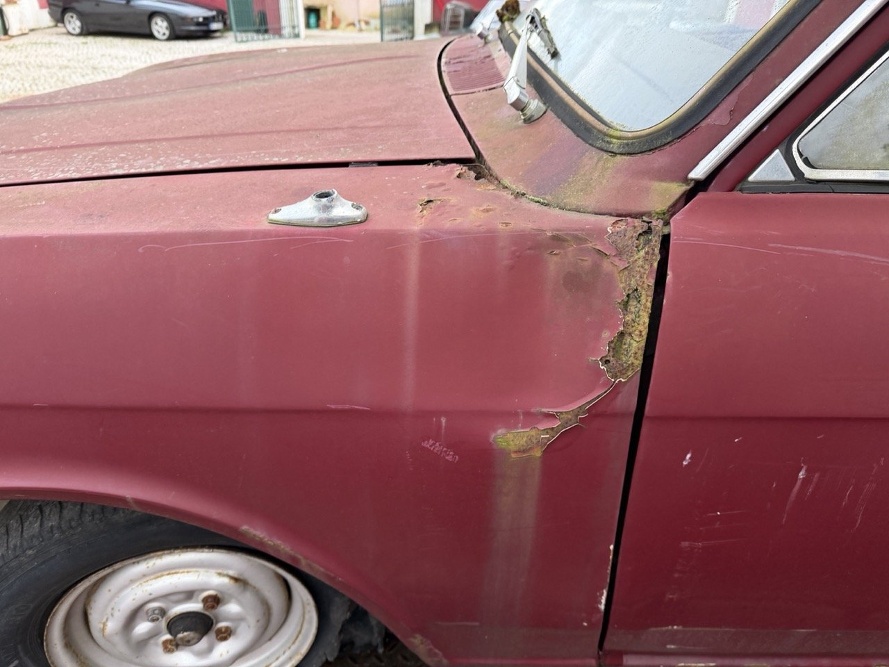 IMG_9007 – grande.jpeg