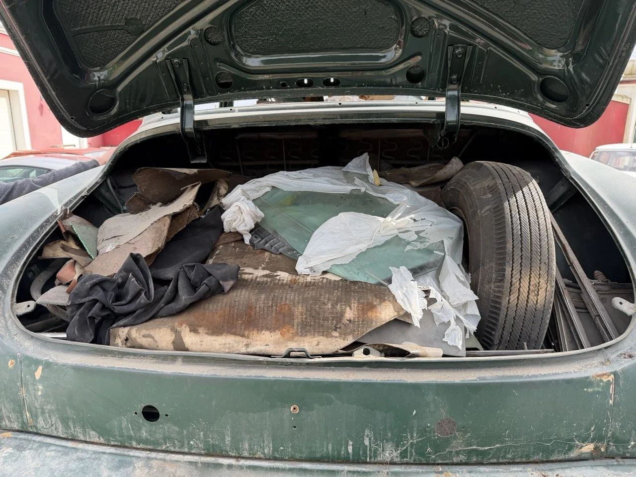 IMG_1803 – grande.jpeg