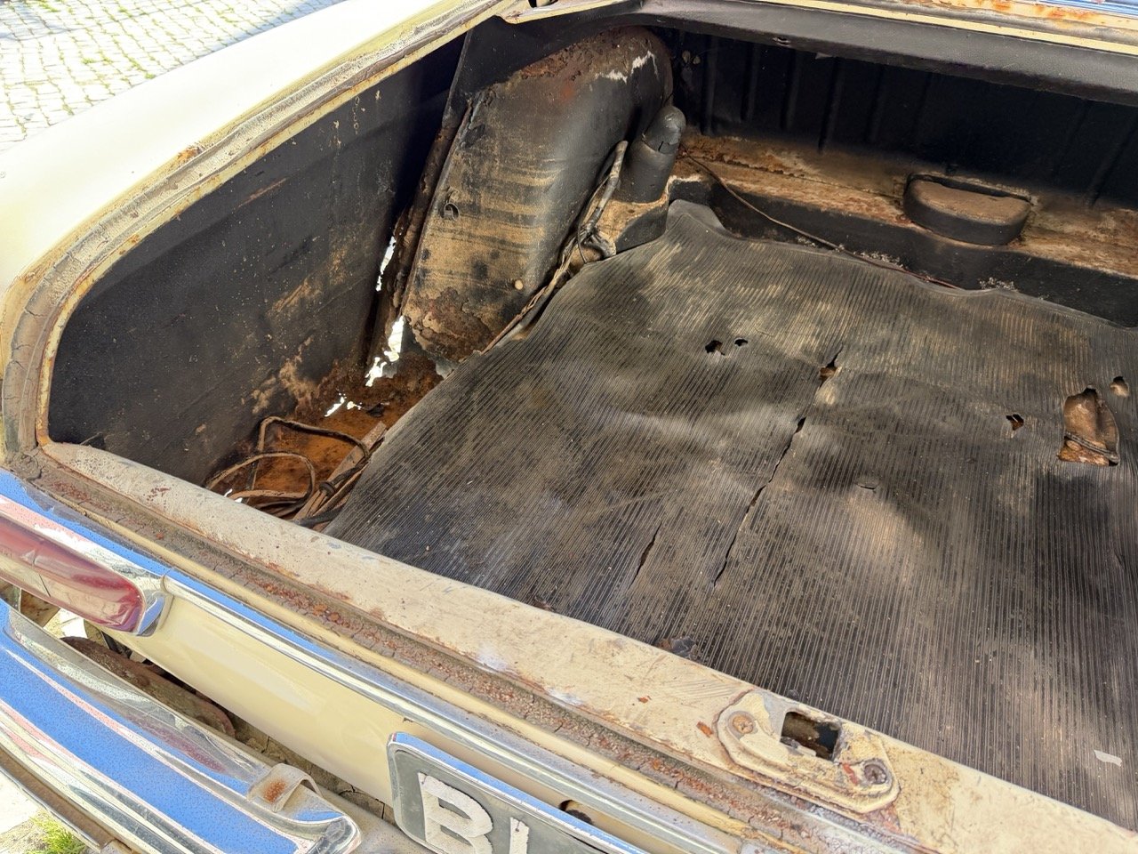 IMG_7090 – grande.jpeg