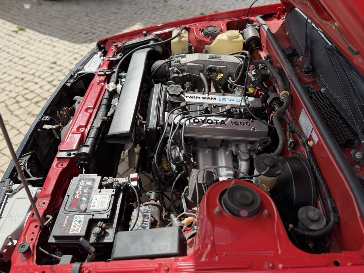 IMG_2348 – grande.jpeg