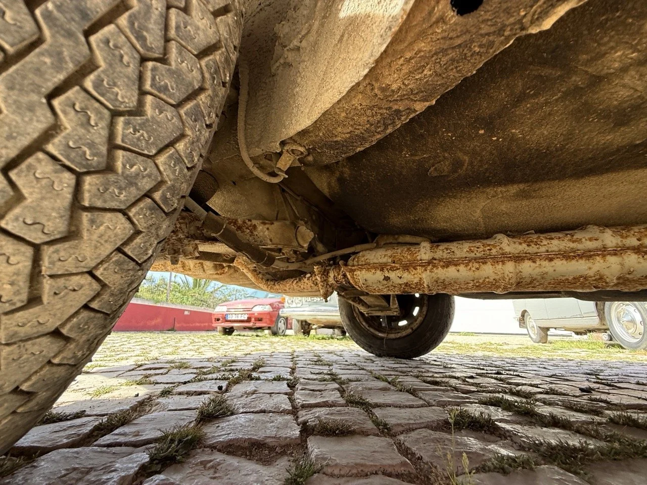 IMG_2365 – grande.jpeg