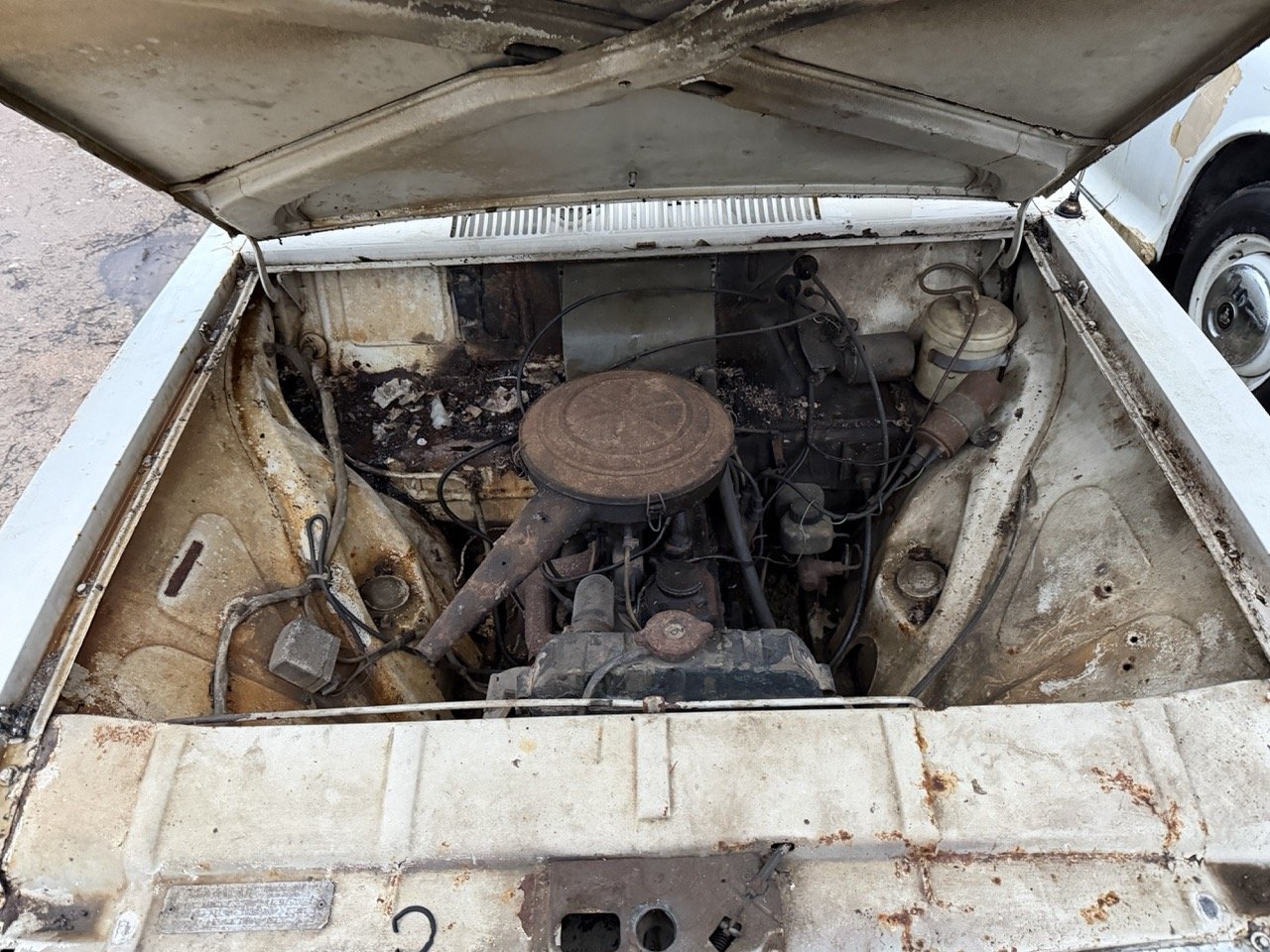 IMG_0154 – grande.jpeg