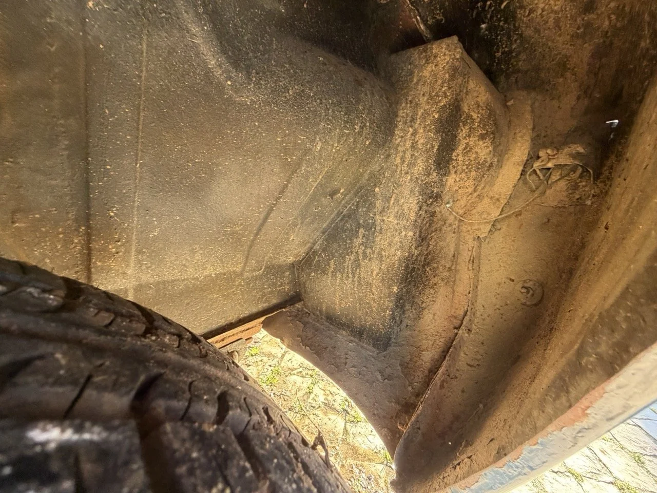 IMG_1892 – grande.jpeg