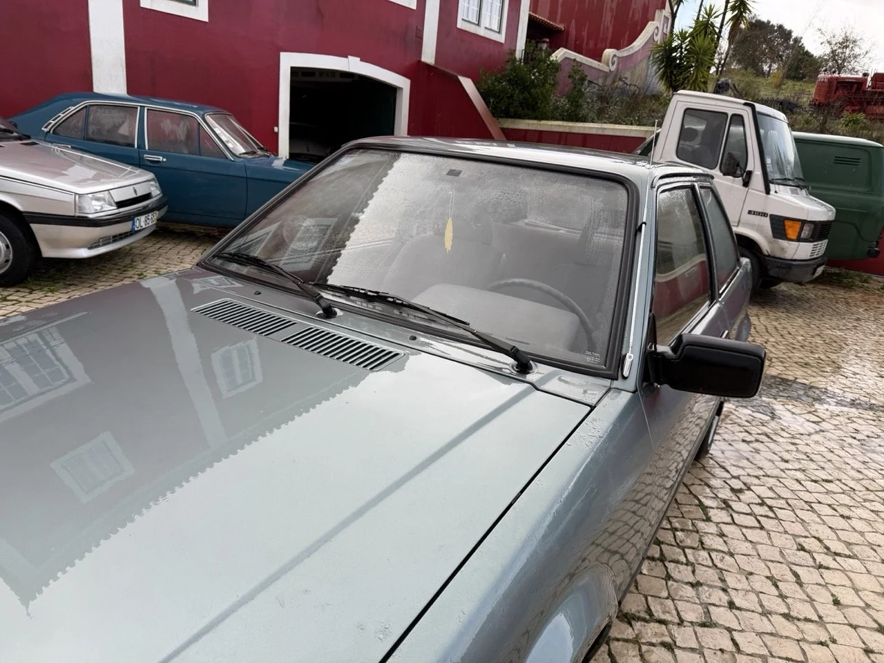 IMG_0621 – grande.jpeg