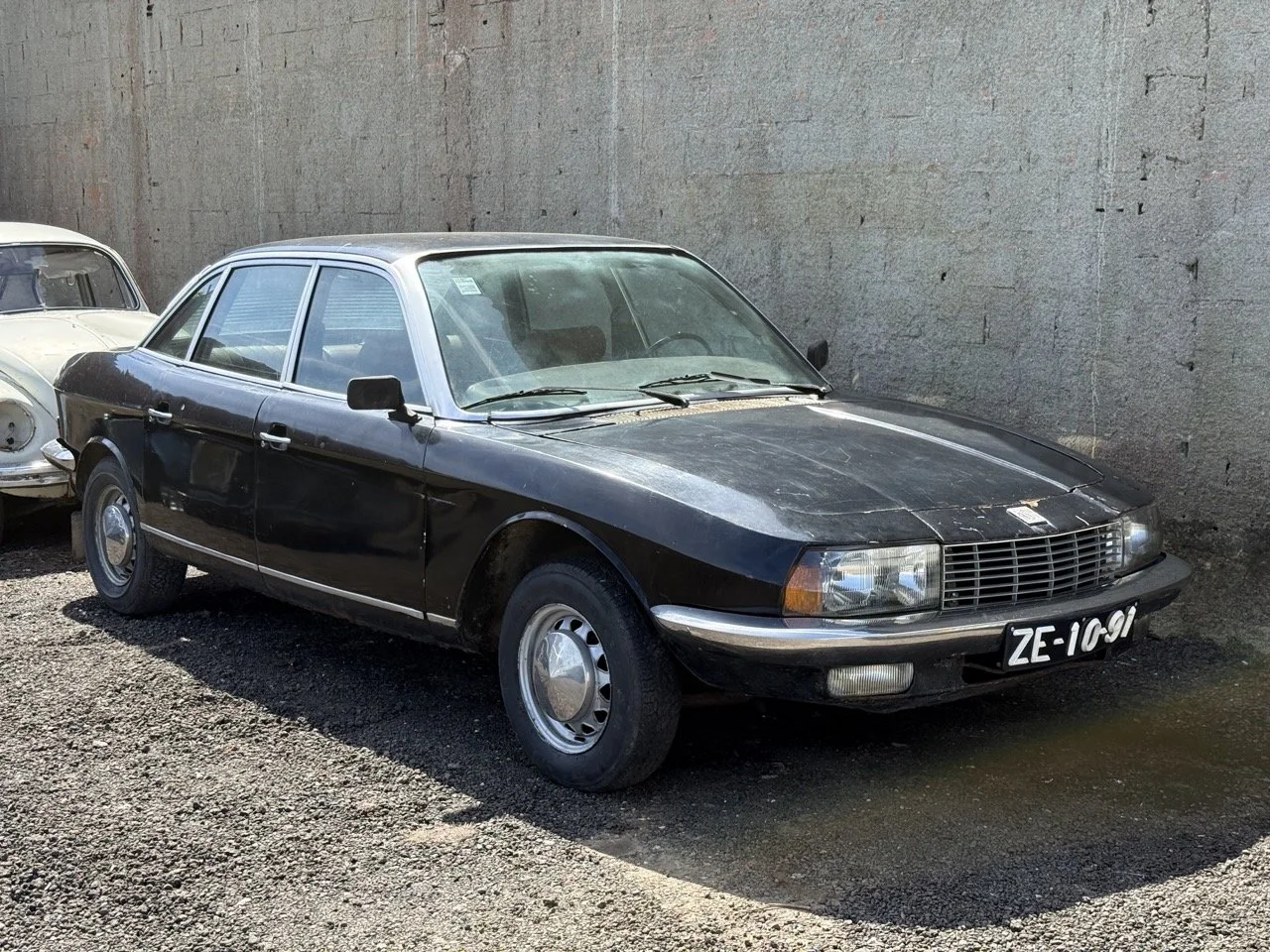 IMG_0551 – grande.jpeg