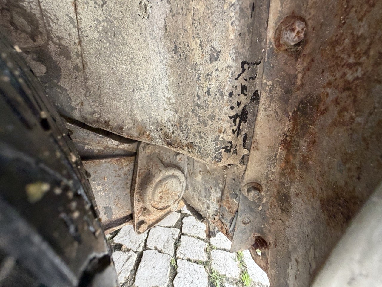 IMG_8671 – grande.jpeg