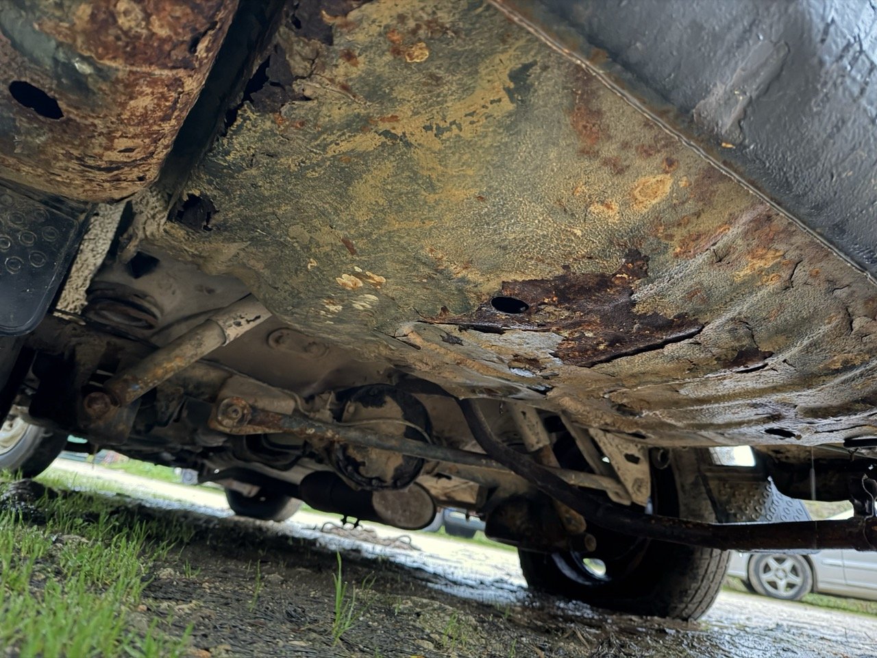 IMG_0149 – grande.jpeg