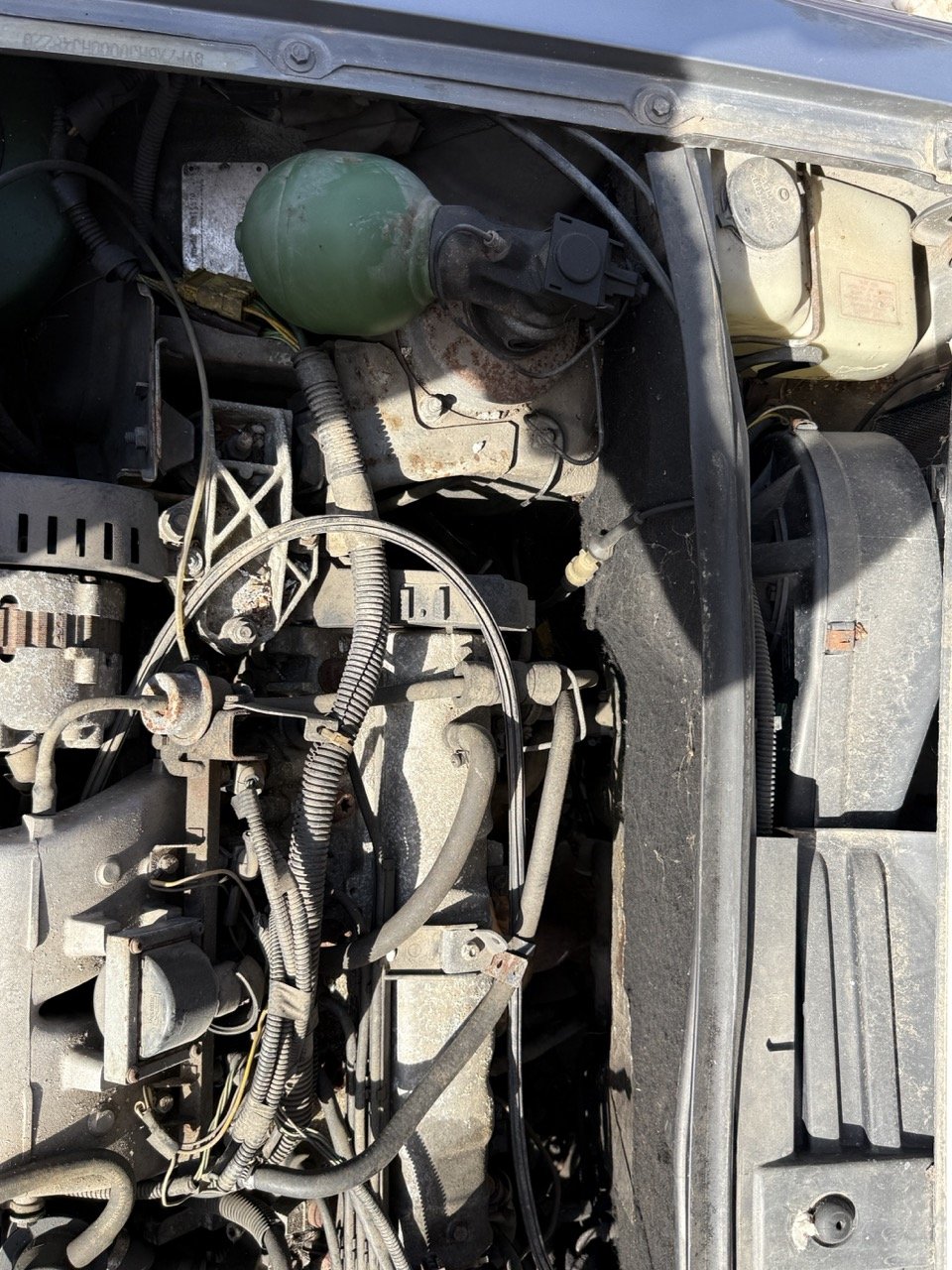 IMG_2552 – grande.jpeg