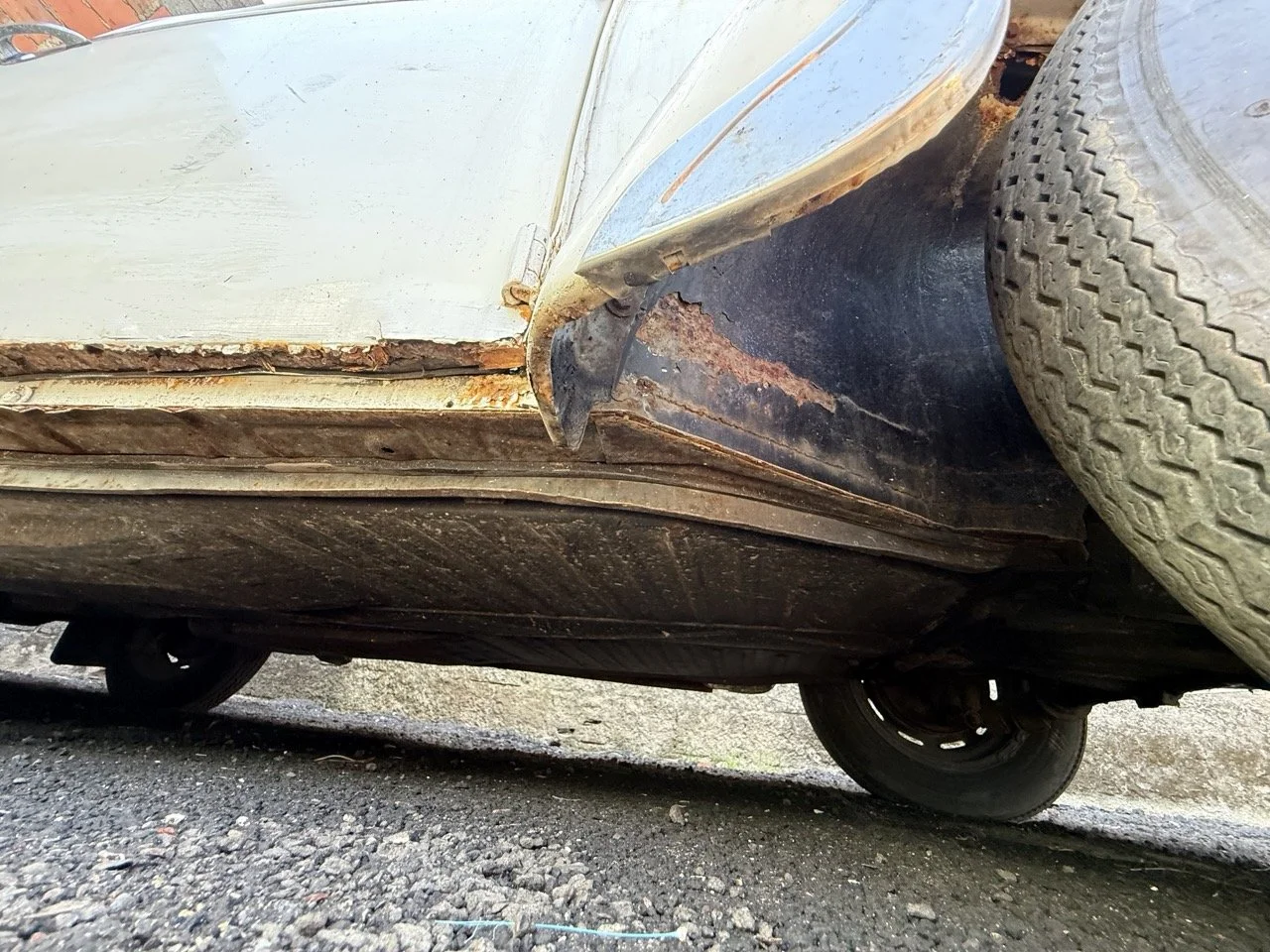 IMG_0729 – grande.jpeg