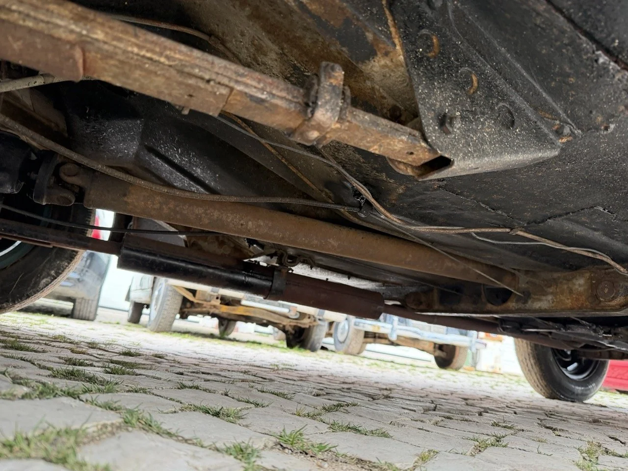 IMG_9894 – grande.jpeg