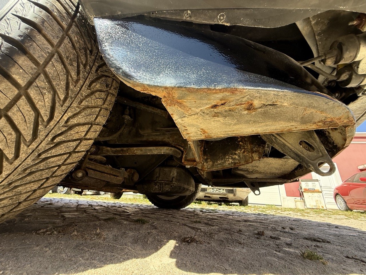 IMG_2247 – grande.jpeg