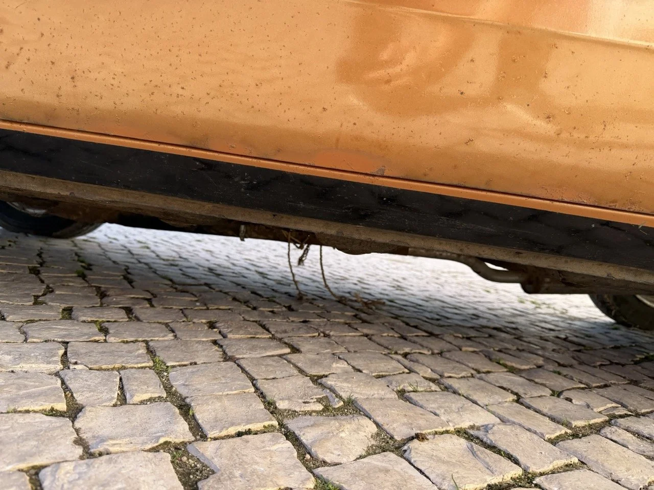 IMG_2426 – grande.jpeg