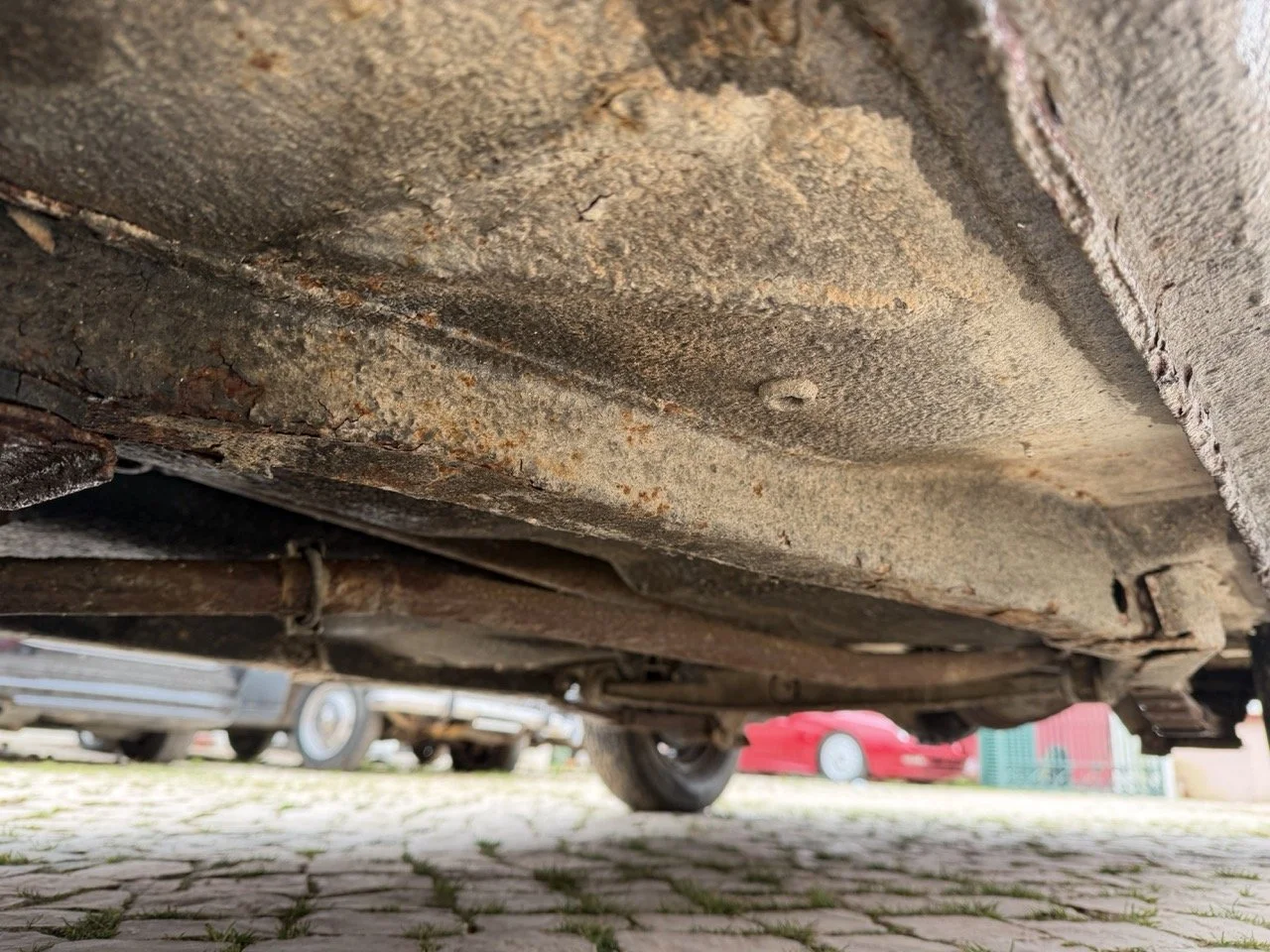 IMG_9660 – grande.jpeg