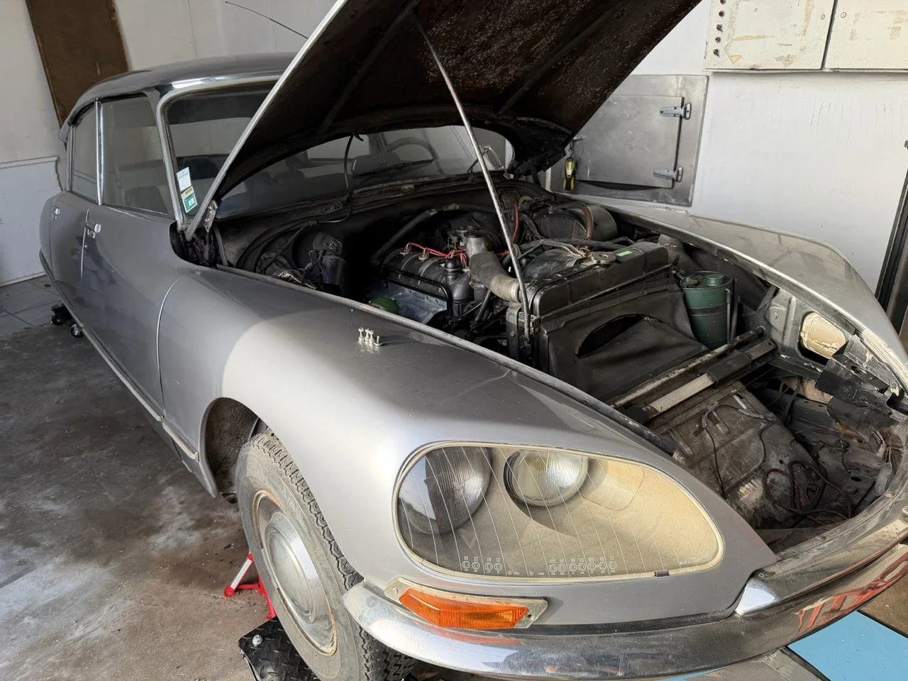 IMG_0325 – grande.jpeg