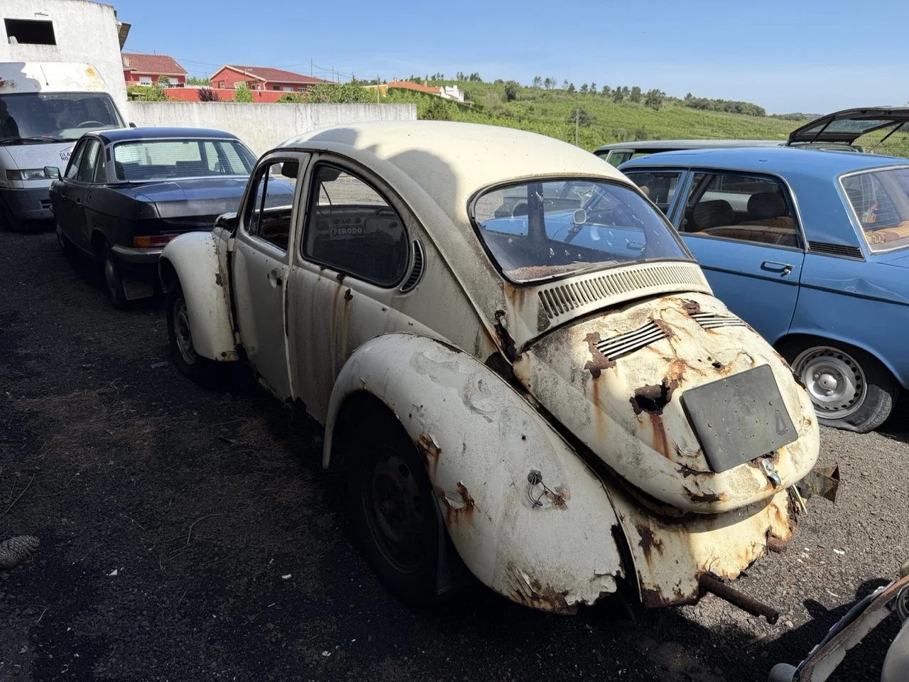 IMG_0634 – grande.jpeg