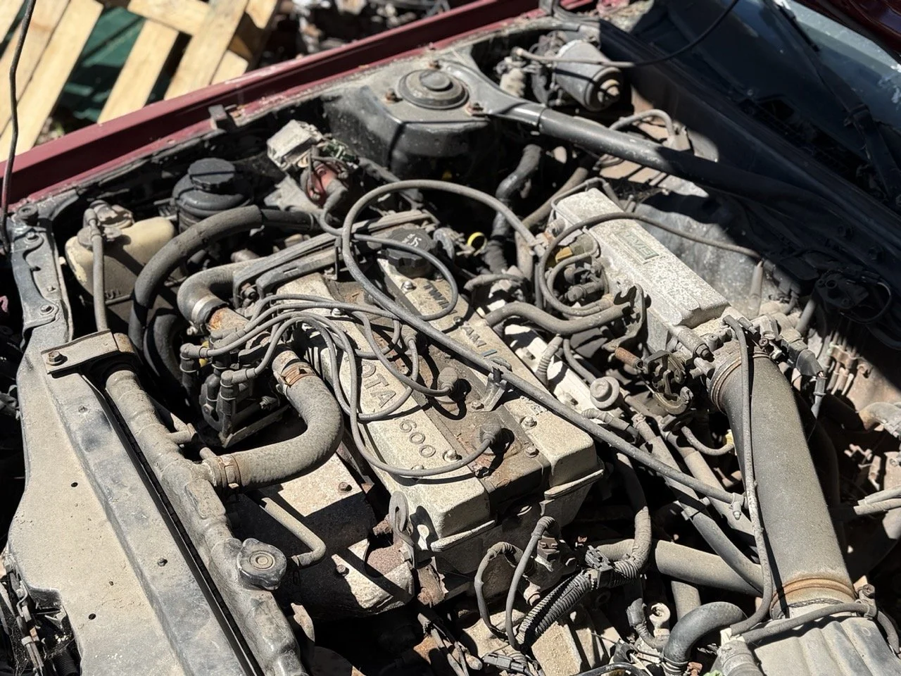 IMG_7617 – grande.jpeg