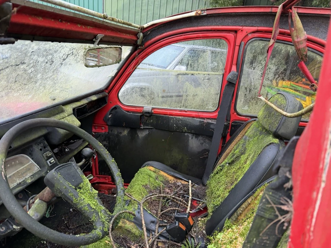 IMG_5473 – grande.jpeg