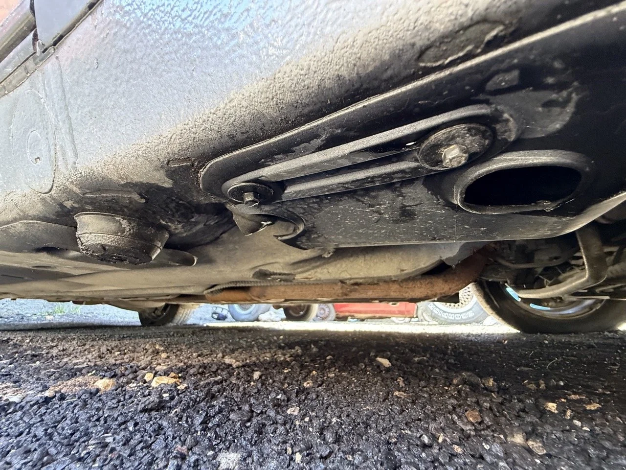 IMG_1807 – grande.jpeg